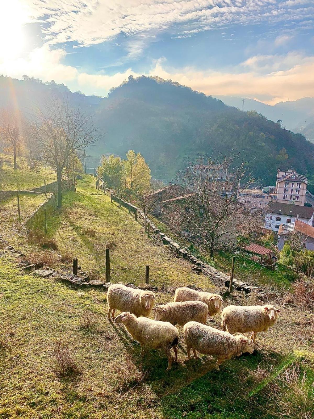 La Casa Sulla Collina Del Castello Villa Breno Ngoại thất bức ảnh